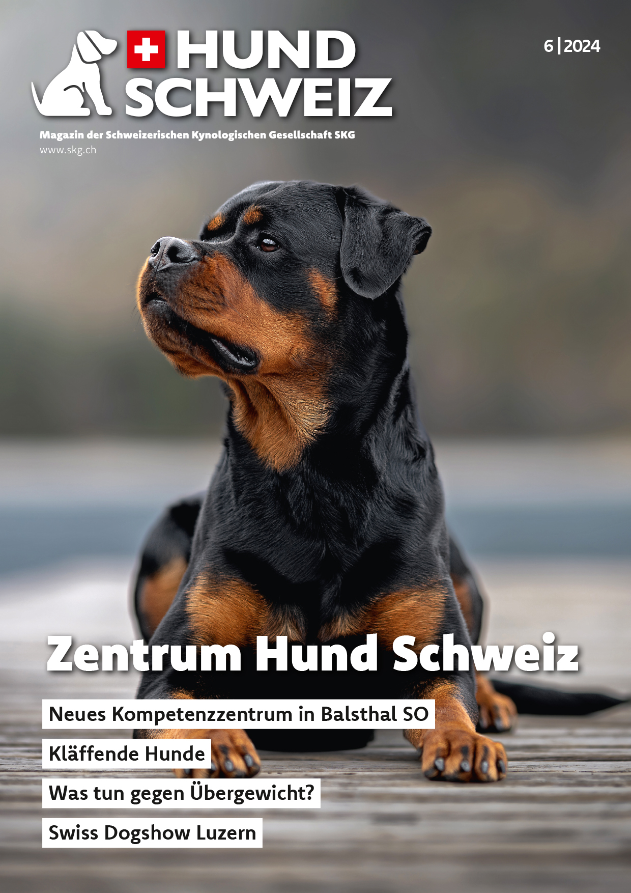 Magazin HUND SCHWEIZ 06/24