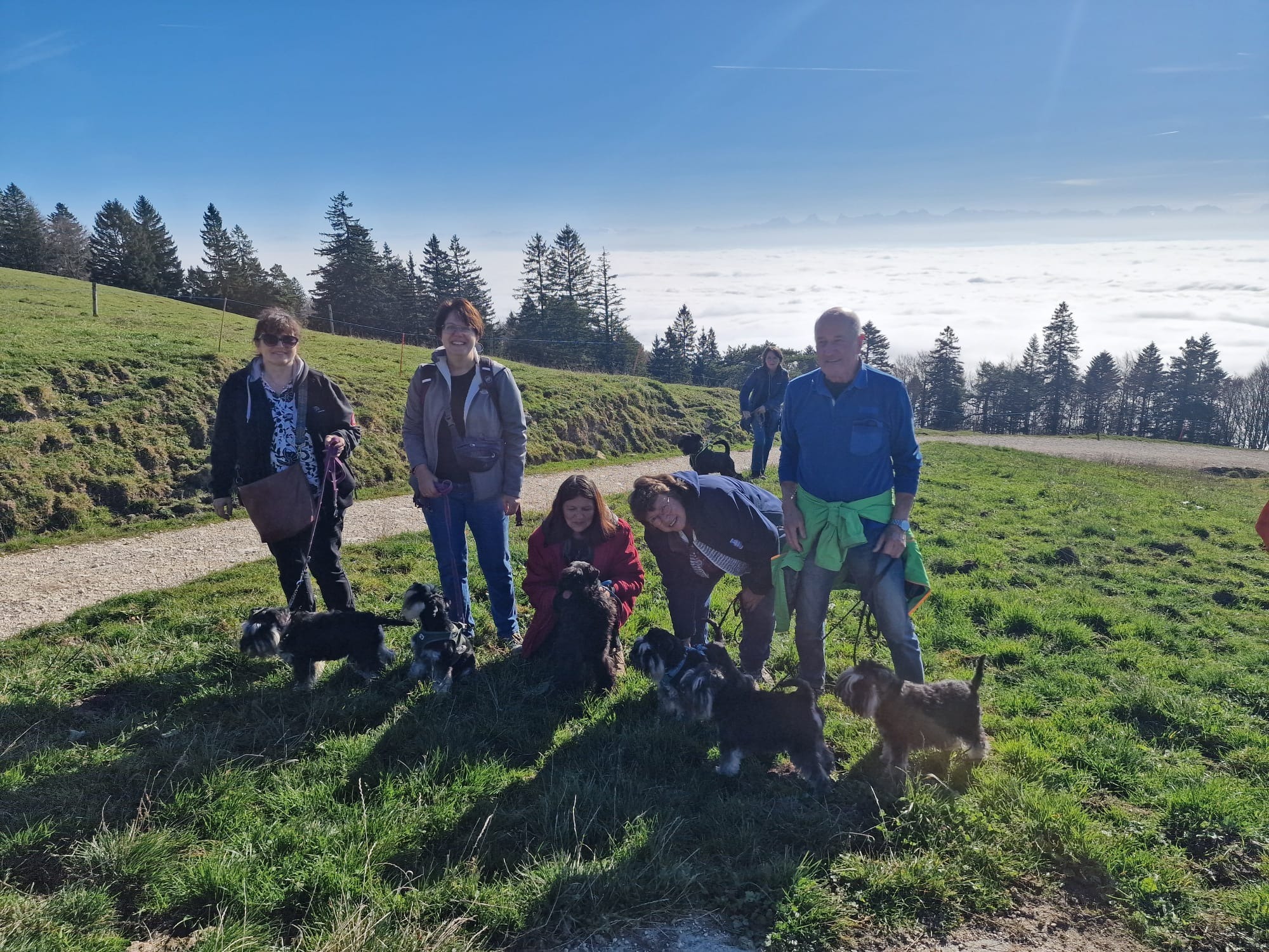 Winterwanderung der OG-Bern-Westschweiz des SCSP