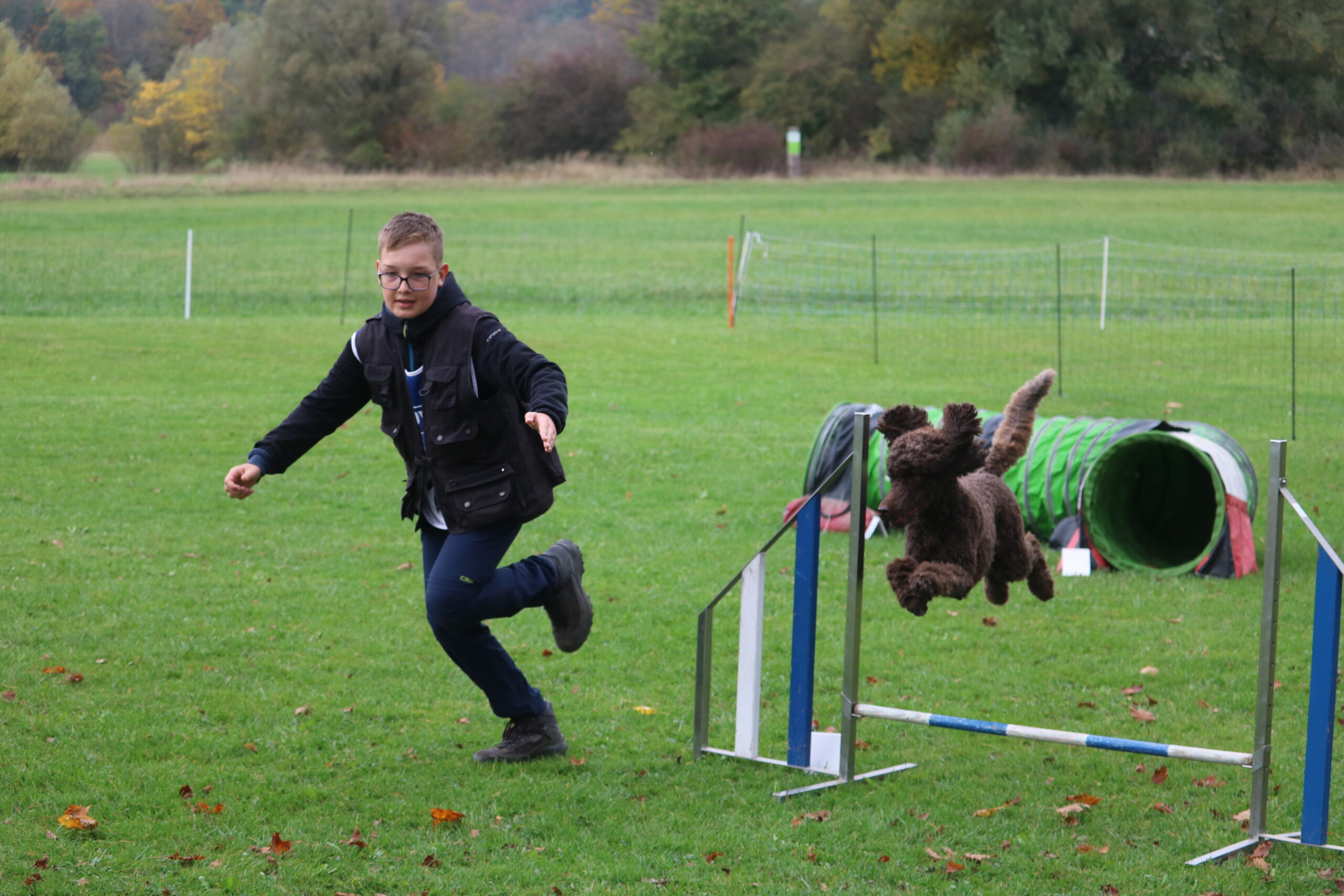 Flughund: Diego Zwimpfer mit Lajka beim Agility-Lauf.