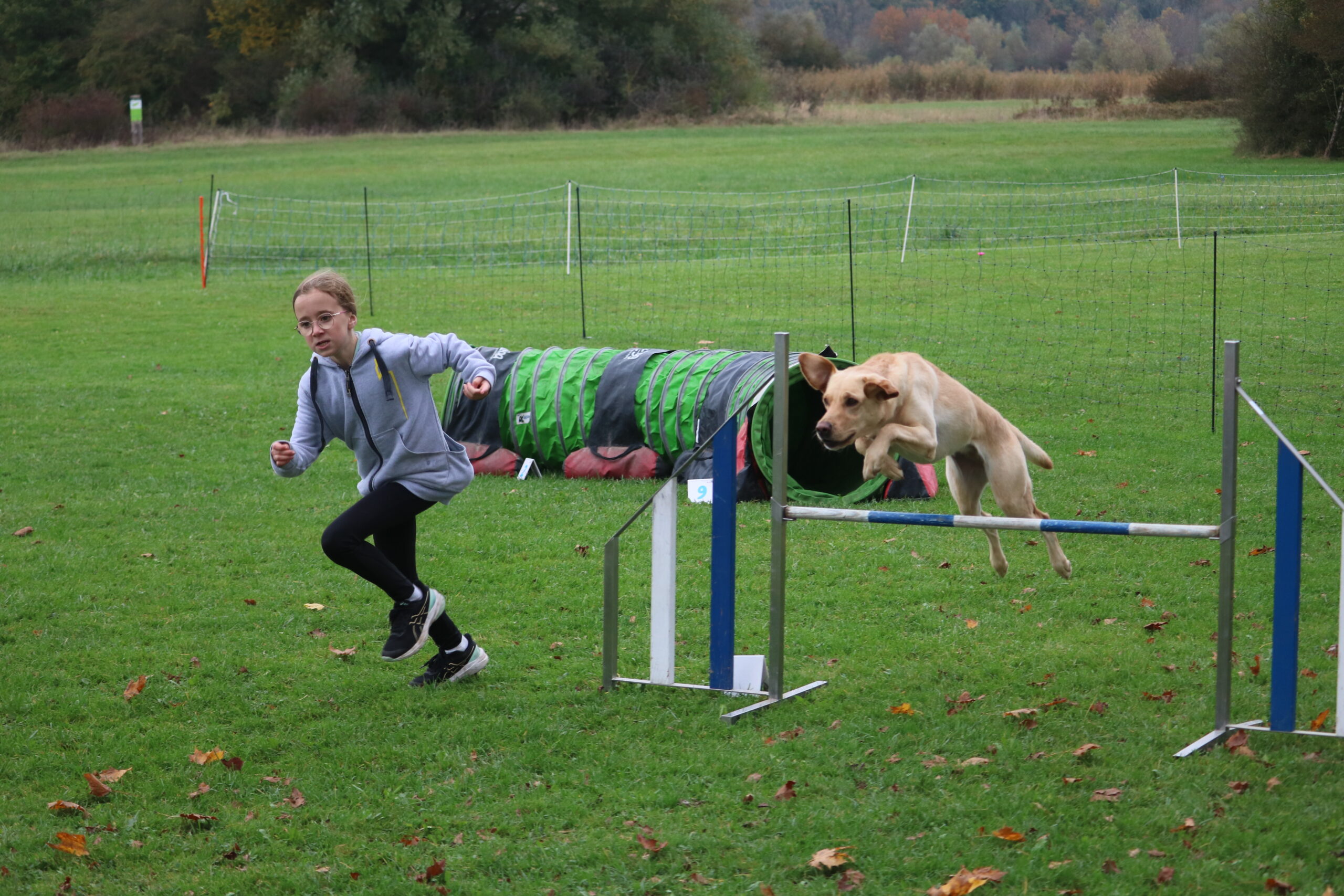 Dank einem 0-Fehler-Agility-Lauf zum Sieg in der Kategorie Beginners gerannt: Wailana Franke mit Kona.