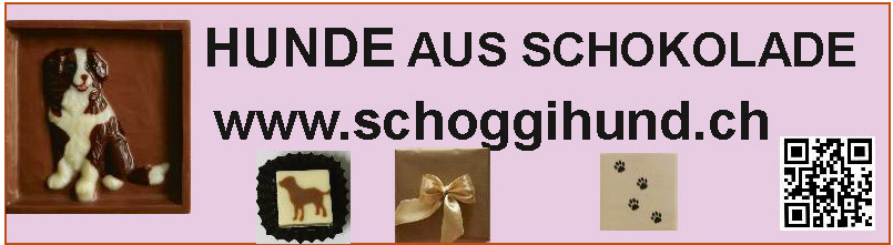 www.schoggihund.ch