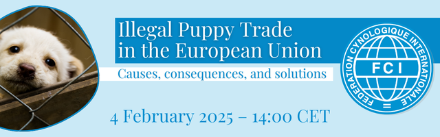 Illegal Puppy Trade in the European Union – Causes, consequences, and solutions